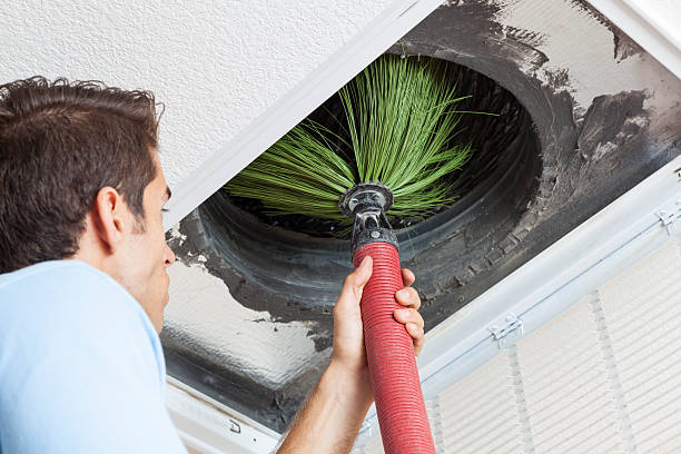 Best Air Vent Cleaning Services  in Brilliant, OH